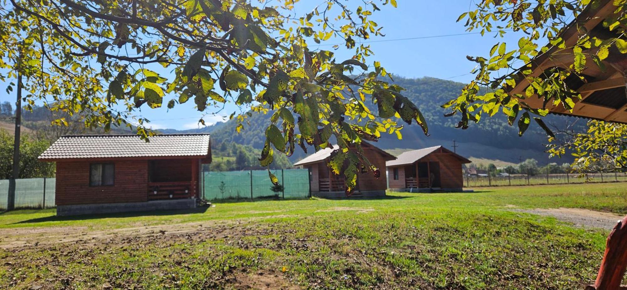 Ferienhaus Casute Zavoi *